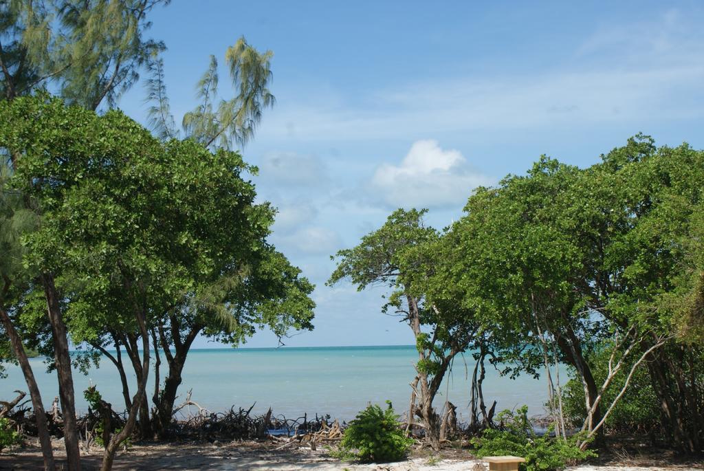 Bonita'S Apartamento Caye Caulker Quarto foto